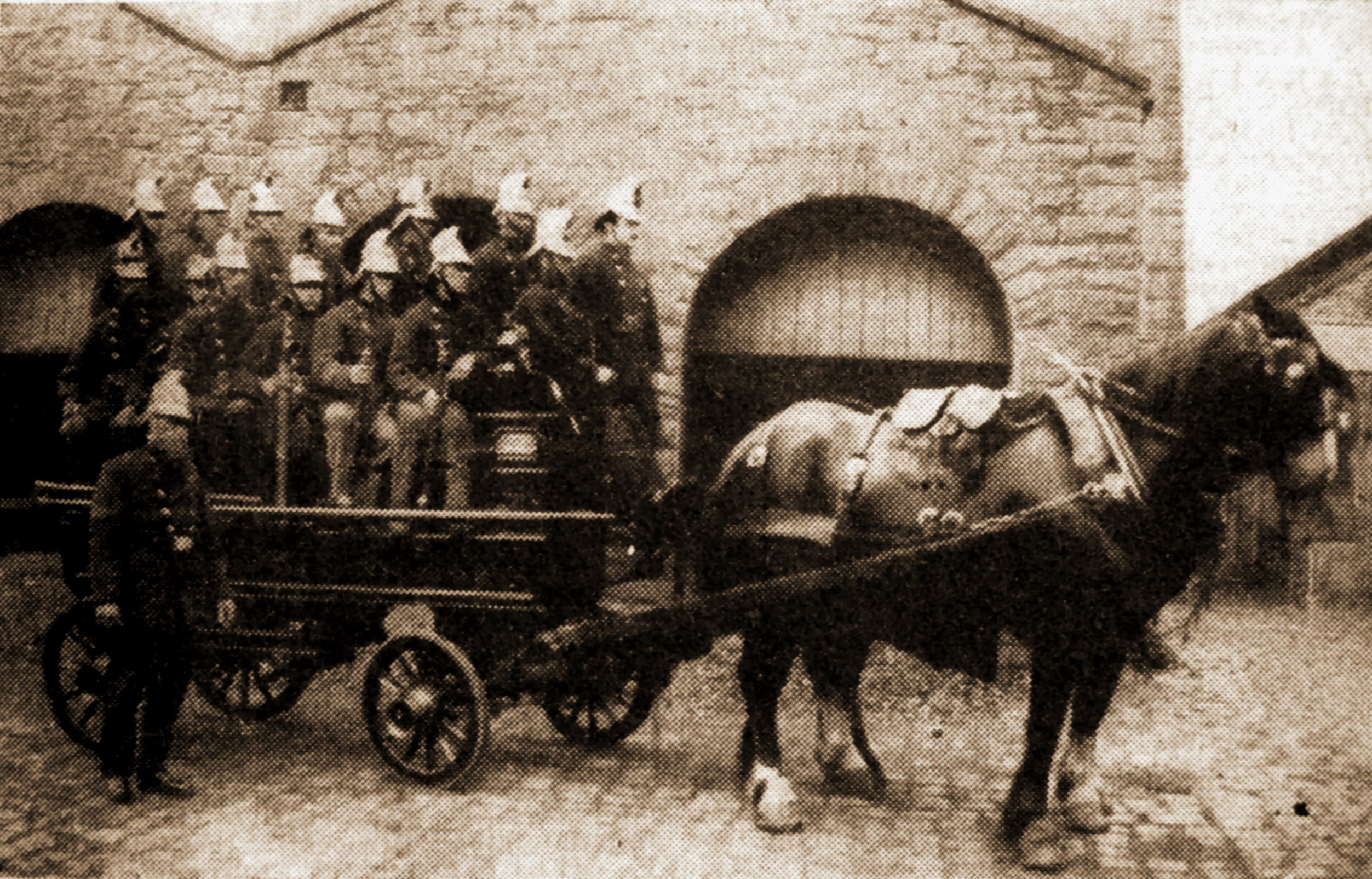 The Kinder Brigade Circa 1900