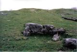 Chambered tomb and Cairns at  Minninglow.