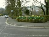 St Marys Road, spring 2009