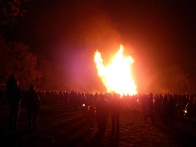 Bonfire, High Lee Park 2006