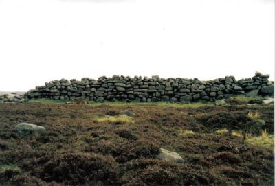 Wall at Carl Wark.