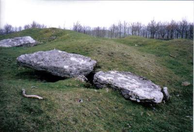 Chambered Tombs at Minninglow.