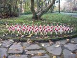 High Lee Park- War Memorial Garden