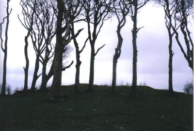 Dark and moody at Minninglow.