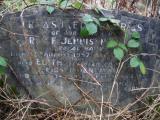 Roy F. Jennison - Hayfield Cemetery.