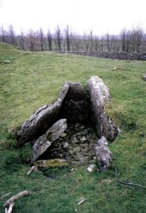 Uncapped chambered tomb at Minninglow.